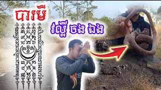 វល្លិ៍ចងឯងជារបស់កម្រ ខ្លាំងពូកែស័ក្តិសិទ្ធិពិសេសការពារខាងរឿងផ្លូវងងឹត