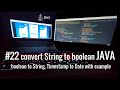 #22 java how to convert String to boolean, boolean to String, Timestamp to Date with example.