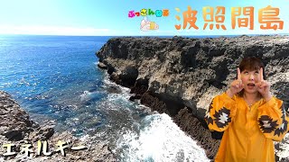 【パワースポット探訪】波照間島🐢