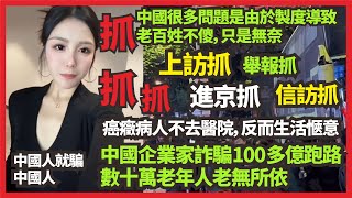 中國企業家詐騙100多億跑路，中國很多問題是由於製度導致，老百姓不傻，只是無奈，數千國產電動車剎車失靈，廠家無人負責，年底股市無差別下跌，中國人就騙中國人，抓抓抓  上訪抓，舉報抓， 進京抓 ，信訪抓