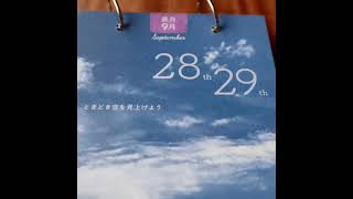 出産祝いに！日めくりカレンダー　2日ごとにあなたに届く、子育て応援メッセージ＆1文レシピ集