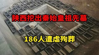 陕西挖出秦始皇祖先墓，186人遭虐殉葬，中国考古史上最恐怖大墓