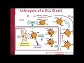 Dr  David Spaner - CLL Diagnosis and Managing Symptoms