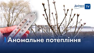 🌡️ «12 лютого очікуємо до +15 градусів», — метеорологи обіцяють суттєве потепління