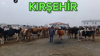 KIRŞEHİR HAYVAN PAZARI PART 2