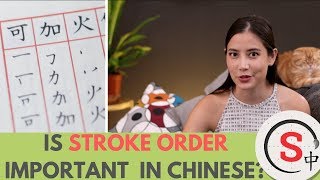 Why Are Chinese Strokes Important? Skritter Chinese