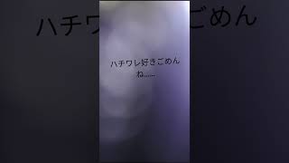 ハチワレキメラ化？みんなどうしよ！私は、夢か違うのと信じたい……