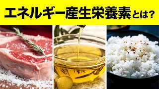 人が生きていくために必要な栄養素 エネルギー産生栄養素とは？【ビーレジェンド プロテイン】