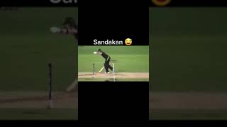 20 Funny Moments in Cricket | Pro Tv