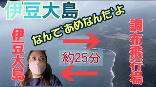 [伊豆大島]そうだ！飛行機があるじゃん！船だけじゃないんです♪