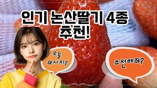 ❤️추천! 논산딸기❤️ 🍓 달콤한 유혹, 논산딸기와 함께하는 행복한 순간! 🍓