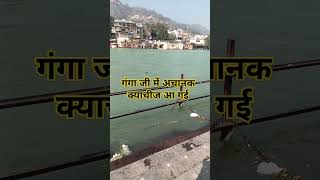 गंगा जी में अचानक क्या चीज ए गई#haridwar #ganga #shortvideo #viralvideo #haridwarvlog