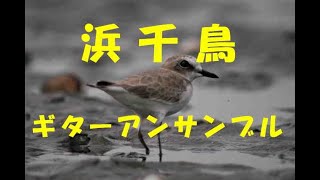 ギター演奏による8月の歌　バロック風「浜千鳥」