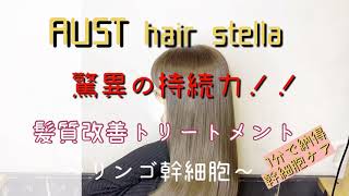 劇的before\u0026after   リンゴ幹細胞を使った髪質改善メニュー‼️ AUSThair stella