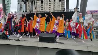 Yosakoi dance at Japan Festival CANADA 2023 日本祭りカナダ (1)