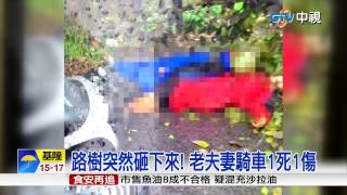 【中視新聞】路樹倒塌壓人 七旬夫妻一死一傷 20150323