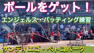 【ボールをゲット！】エンジェルス・バッティング練習！【3番DH・大谷翔平選手】対サンディエゴ・パドレス第3戦@ペトコパーク7/5/2023 #大谷翔平  #ohtani  #エンジェルス