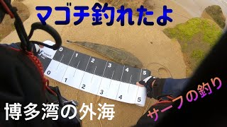 博多湾の外でルアー8