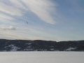 opp ned harrier på randsfjorden.