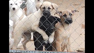 Голод не страшен...если рядом Вы-Друзья!_Hunger is not terrible when friends around