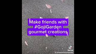 Make friends with #GojiGarden gourmet creations. #FoodieDelights