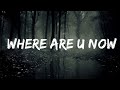 Skrillex, Diplo, Justin Bieber - Where Are U Now (Lyrics) Lyrics Video