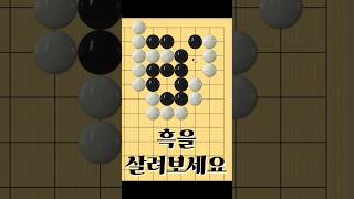 쉬운 바둑 사활 - 너무 쉽게 생각하면 잡힐 수 있습니다.