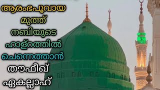 ആരംഭ പൂവായ മുത്ത് നബിയുടെ ഹള്റത്തിൽ ചെന്നെത്താൻ തൗഫീഖ് ഏകല്ലാഹ് /മദ്ഹുറസൂൽ /മീലാദ്റസൂൽ /നബിദിനം ❤❤❤