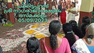 Bhasmakkalam,Chakkittapparambu, Paravoor, Alappuzha,2023,എല്ലാവർക്കും ഐശ്വര്യം നൽകുന്ന നാഗക്ഷേത്രം