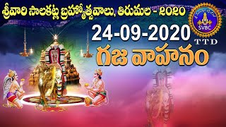 గజ వాహనం | GAJA VAHANAM | 24-09-2020 | SVBC TTD