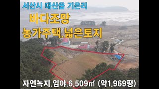 급매 서산시 바다앞 남향 농가주택 넓은토지 펜션 농막용지 캠핑장용지 카페용지 다용도용지 대산읍 기은리  서산부동산 전원주택 농가주택 토지매매