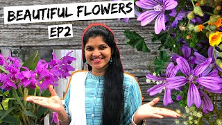 botanical garden USA | weekend | travel vlog | USA Tamil vlog | Tamil | Part 2