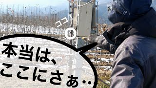 【撮影前に本音が出た】りんごのプロが思う、理想な木のかたちとは？ -稼ぐ人向け-