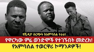 የቪዲዮ ስርጭት ከአምባሰል ተራራ! #  የዋርካው ምሬ ወንድሞች የተገኙበት መድረክ! #  የአምባሰል ተወርዋሪ ኮማንዶዎች!