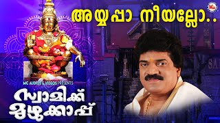 അയ്യപ്പാ നീയല്ലോ | ayyappa neeyallo | ayyappa devotional song malayalam | hindu devotional |