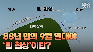 88년 만의 9월 열대야... 이것 때문이라고?