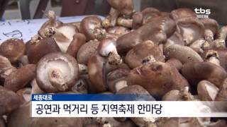 [tbsTV] '공연부터 장터까지'…달라진 서울 보행전용거리