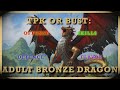 D&D- TPK or Bust #5: Adult Bronze Dragon