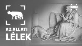 Az állati lélek | Élőfilozófia-Állati humanizmus