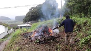 Steady progress of dead bamboo incineration work! Field work in progress!