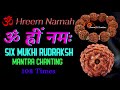 rudraksh mantra chanting 6 mukhi sacred chant for rudraksha 6 face rudraksham beej mantra