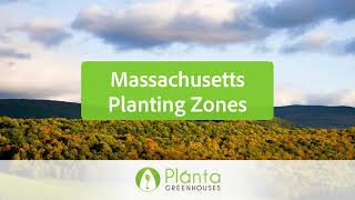 Massachusetts Planting Zones – Planta Greenhouses