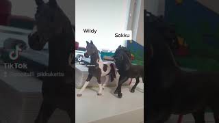 Mun schleich hepat part 2 (Osa näkyi edellisessä videossa)