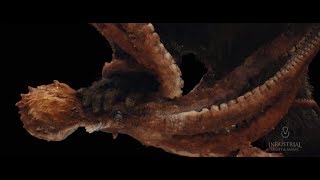 Monsterverse - Kong: Skull Island - "Mire Squid"