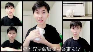 说散就散 JC/袁娅维  - 阿卡贝拉版 A Capella EDM Cover 黎子明人声乐团 前任3