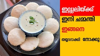 ഇഡ്ഡലിയ്ക്ക് ഇനി ചമ്മന്തി ഇങ്ങനെ ഉണ്ടാക്കി നോക്കൂ|Kerala Style chammanthi