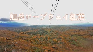 「2020年10月3日旭岳ロープウェイ下り」日本一早い紅葉をロープウェイから！