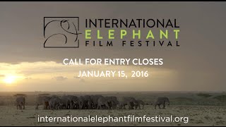 International Elephant Film Festival trailer