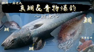 第二十五陣　新潟／名立・海遊丸【日本海の青物＆タイは半端じゃない！？爆釣劇】