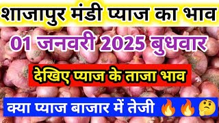 shajapur mandi pyaj ka bhav । 01 जनवरी 2025 शाजापुर मंडी प्याज भाव #pyajbhav #shajapurmandi